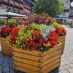 Wohlfuehl-appartement Bergsee Family - Am Wildsee - Sup Und Schlitten For Free Seefeld in Tirol