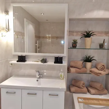 شقة Wohlfuehl-appartement Bergsee Family - Am Wildsee - Sup Und Schlitten For Free سيفيلد ان تيرول