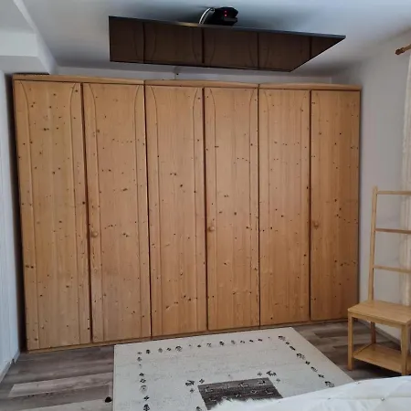 Wohlfuehl-appartement Bergsee Family - Am Wildsee - Sup Und Schlitten For Free * 蒂罗尔-泽费尔德