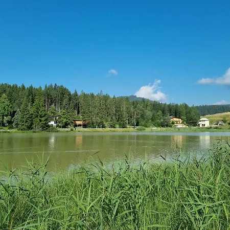 Wohlfuehl-appartement Bergsee Family - Am Wildsee - Sup Und Schlitten For Free شقة