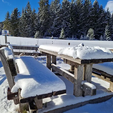 Wohlfuehl-appartement Bergsee Family - Am Wildsee - Sup Und Schlitten For Free شقة *