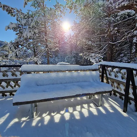 Wohlfuehl-appartement Bergsee Family - Am Wildsee - Sup Und Schlitten For Free شقة سيفيلد ان تيرول