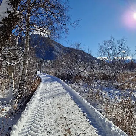 Wohlfuehl-appartement Bergsee Family - Am Wildsee - Sup Und Schlitten For Free *