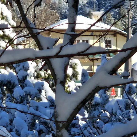 Wohlfuehl-appartement Bergsee Family - Am Wildsee - Sup Und Schlitten For Free *