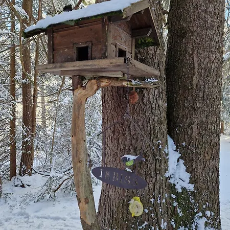 Wohlfuehl-appartement Bergsee Family - Am Wildsee - Sup Und Schlitten For Free